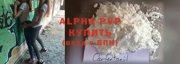 гашик Богородицк