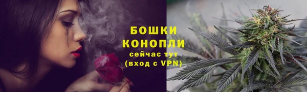 гашиш Богданович