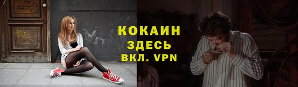 гашиш Богданович