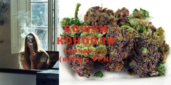 гашик Богородицк