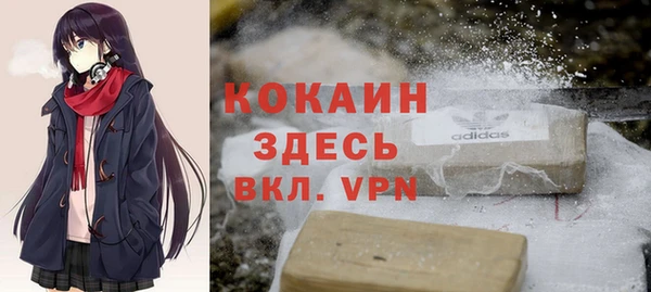 гашиш Богданович