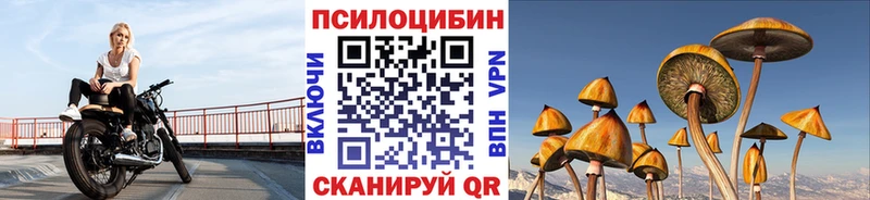 Галлюциногенные грибы Psilocybine cubensis  Киренск 